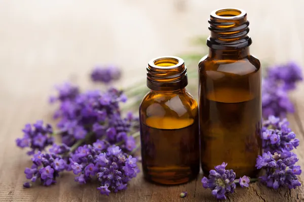 روغن اسطوخودوس بهترین روغن گیاهی برای ماساژ بدن