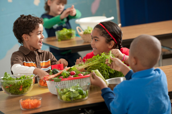مصرف غذاهای مغذی - تقویت حافظه کودکان دبستانی