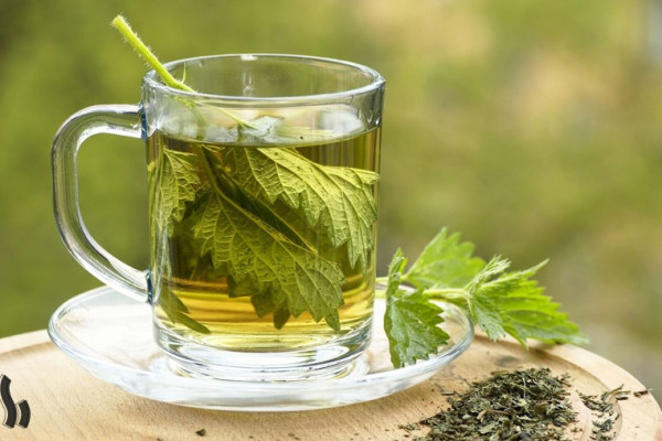 دمنوش گزنه