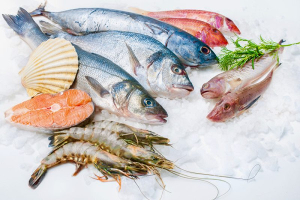 غذاهای دریایی و انواع ماهی ها