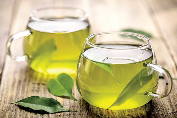 چای سبز تاثیر چشمگیری در کاهش سایز سینه دارد 