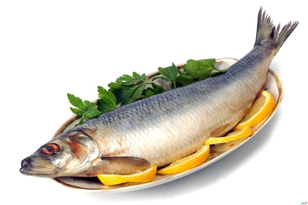 ماهی سرشار از امگا3 است و نقش چشمگیری در جلوگیری از گرفتگی عروق قلب دارد 