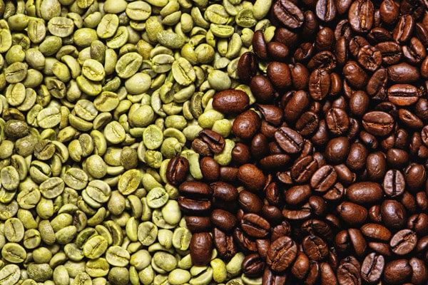 عوارض قهوه سبز برای لاغری