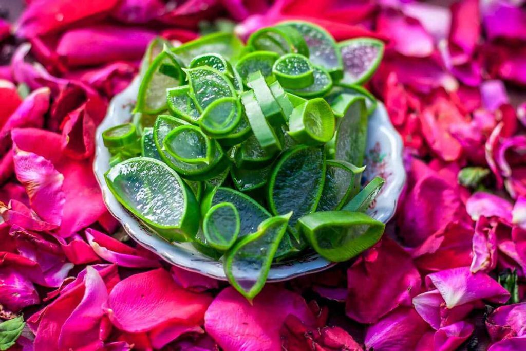 ماسک آلوورا و گلاب برای صورت